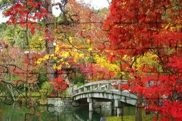 paisagens jigsaw puzzle