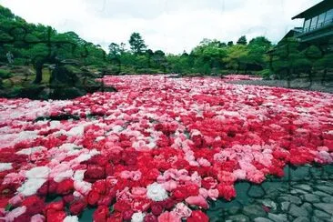 as  belesas  do  japÃ£o jigsaw puzzle