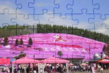 as  belesas  do  japÃ£o jigsaw puzzle