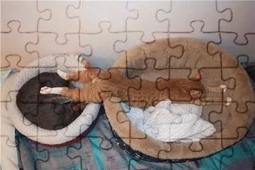 gato elÃ¡stico jigsaw puzzle