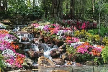 paisajes jigsaw puzzle