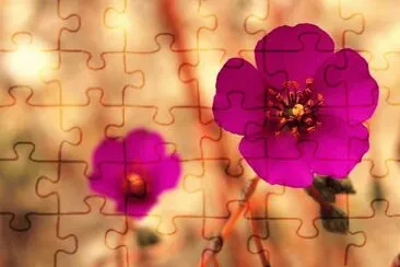 as  maravilias  do  chile jigsaw puzzle