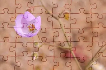 as  maravilias  do  chile jigsaw puzzle