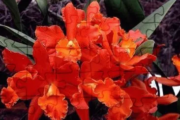 as  maravilias  do  chile jigsaw puzzle