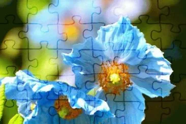 flores jigsaw puzzle