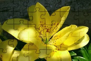flores jigsaw puzzle