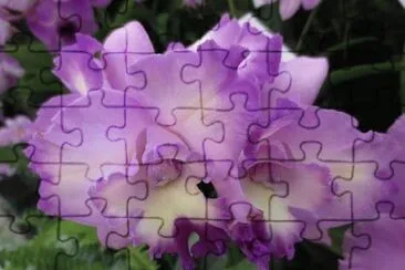 flores jigsaw puzzle