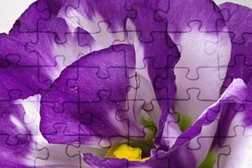 flores jigsaw puzzle
