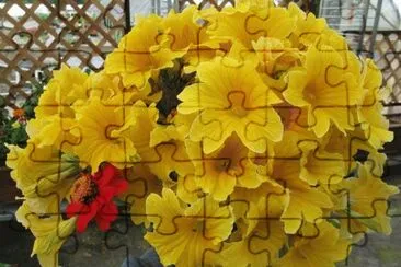 flores jigsaw puzzle