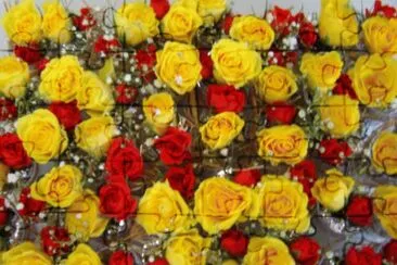 פאזל של Red and yellow roses