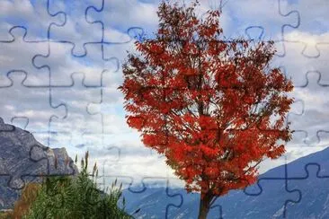 399 jigsaw puzzle