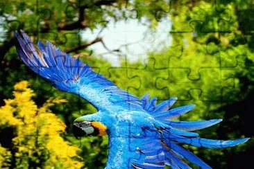 imagens jigsaw puzzle