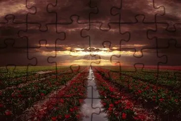 horizonte jigsaw puzzle