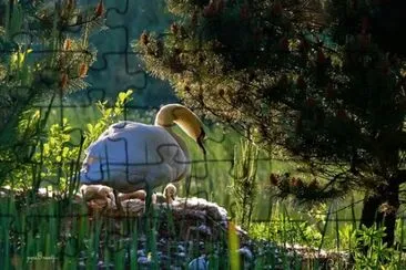 Gans jigsaw puzzle