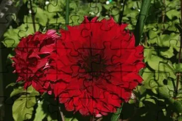 d jigsaw puzzle