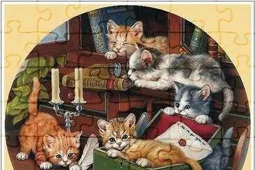 gatinhos