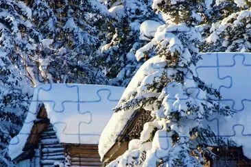 NEVE