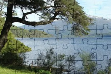 Lago NonthuÃ©. NeuquÃ©n. Argentina jigsaw puzzle