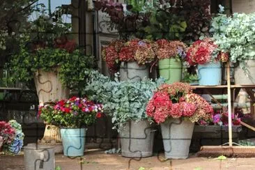 flores
