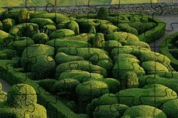 imagens  de  flores jigsaw puzzle