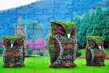 imagens  de  flores jigsaw puzzle