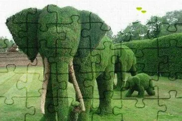 imagens  de  flores jigsaw puzzle