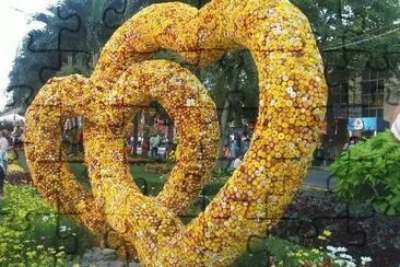 imagens  de  flores
