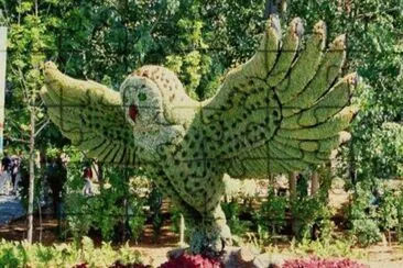 imagens  de  flores jigsaw puzzle