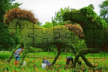 imagens  de  flores jigsaw puzzle