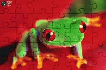 rana verde obre rojo hd jigsaw puzzle