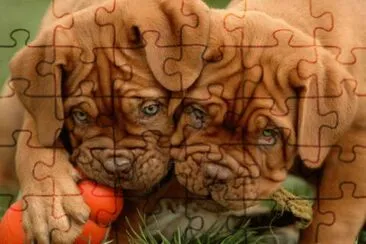 Tiernos Perros jigsaw puzzle