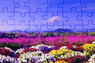 jardin jigsaw puzzle