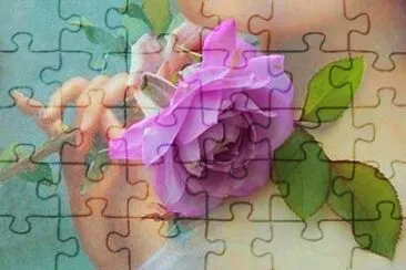 פאזל של rosa
