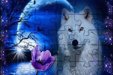 animais