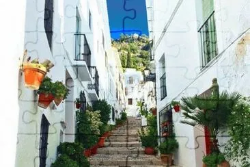 Calle decorada con plantas jigsaw puzzle
