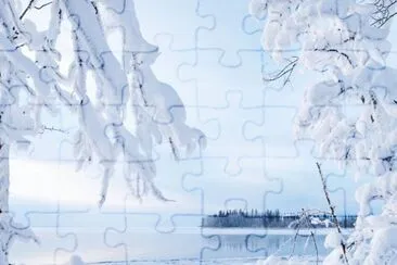 NEVE