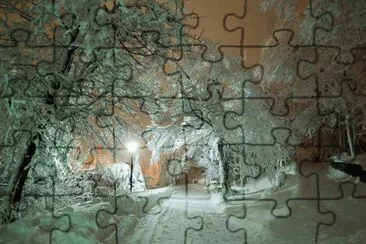 NEVE jigsaw puzzle