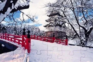 NEVE jigsaw puzzle