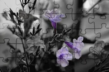 fantasia jigsaw puzzle