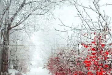 NEVE jigsaw puzzle
