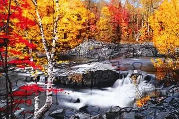 brook
