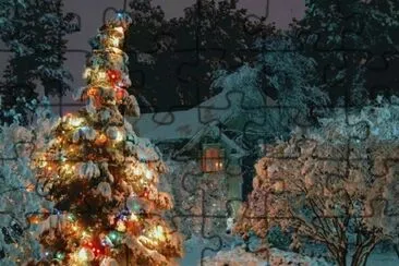 NEVE jigsaw puzzle