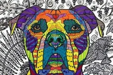 perro