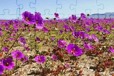 Natureza jigsaw puzzle