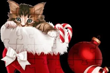 Katzen