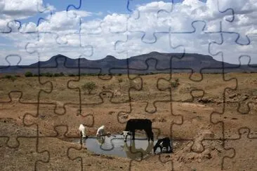 sin agua