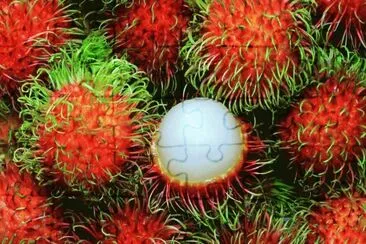 FRUTAS jigsaw puzzle