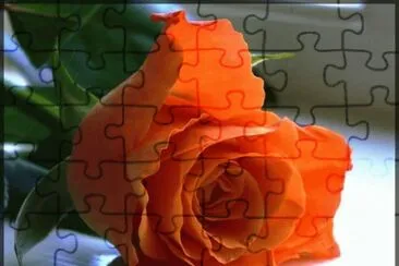rosas jigsaw puzzle