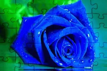 rosas jigsaw puzzle