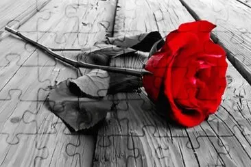 פאזל של rosas